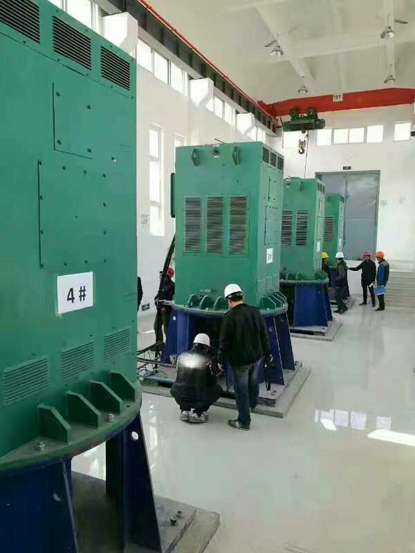 Y4501-2某污水处理厂使用我厂的立式高压电机安装现场一年质保