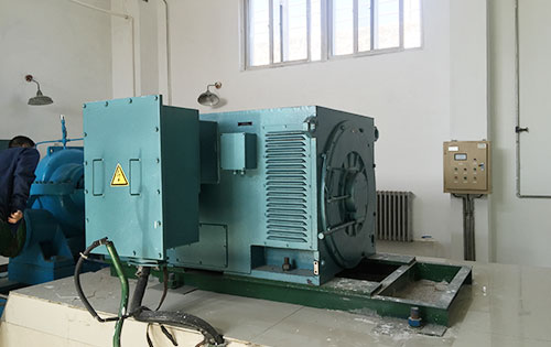 Y4501-2某水电站工程主水泵使用我公司高压电机