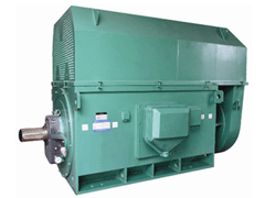 Y4501-2YKK系列高压电机