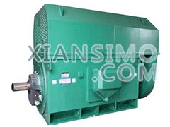 Y4501-2YXKK(2极)高效高压电机技术参数